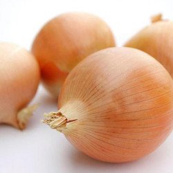Onion Golden Parma