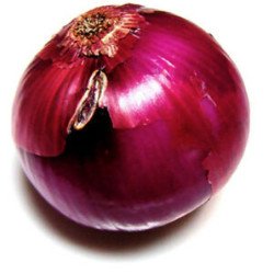 Onion Tropea Rossa Tonda