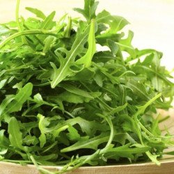 Arugula Torino