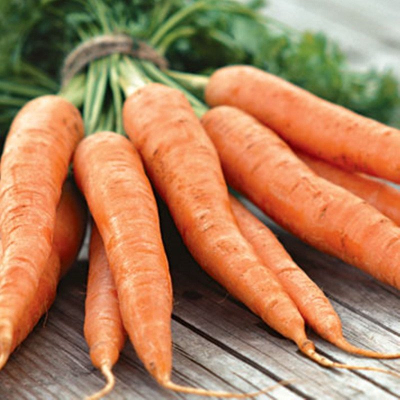 Морковь Медовянка