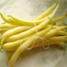 Квасоля кущова Лаура