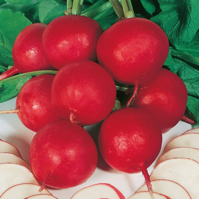 Radish Ester