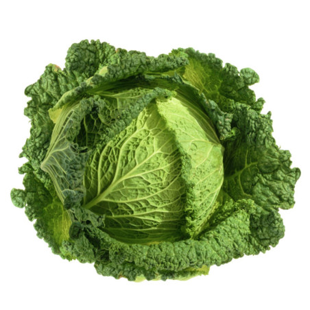 Savoy Cabbage Rana Zluna