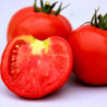 Tomato Ballada