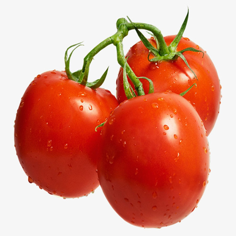 Tomato Zoreslav