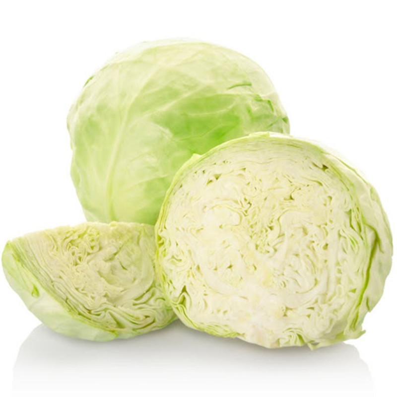 White Cabbage Ukrainska Osin