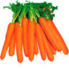 Carrot Lange Rote Stumpfe Ohne Herz