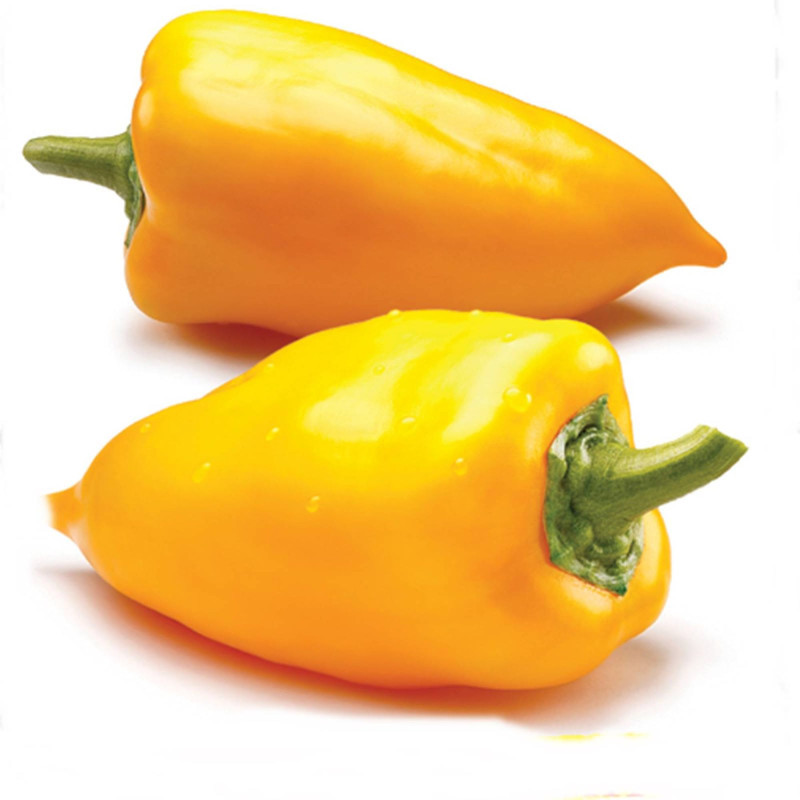 Sweet Pepper Antohi Romanian