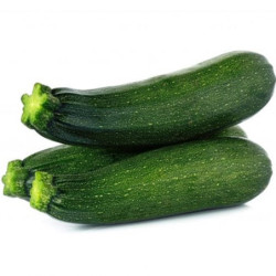 Squash Zucchini Ambassador