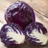 Red Cabbage Koda