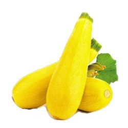 Squash - Zucchini Zolotinka