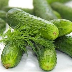 Cucumber Dzherelo