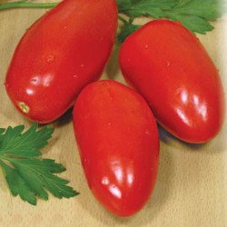 Tomato Crucian