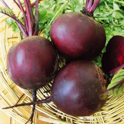 Beetroot Mulatka