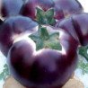 Eggplant Aubergine Helios