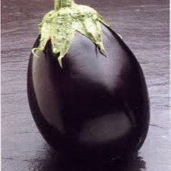 Eggplant Aubergine Black Beauty