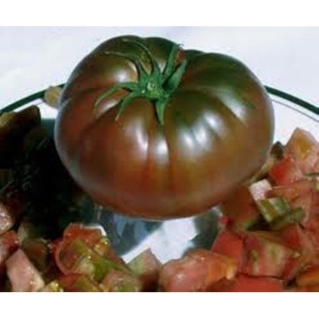 Tomato Black Prince