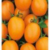 Tomato De Barao Orange