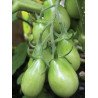 Tomato Emerald Pear