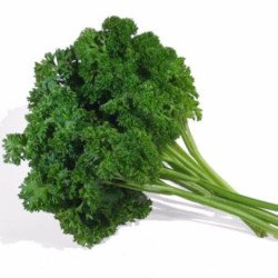 Curly Parsley Paramount
