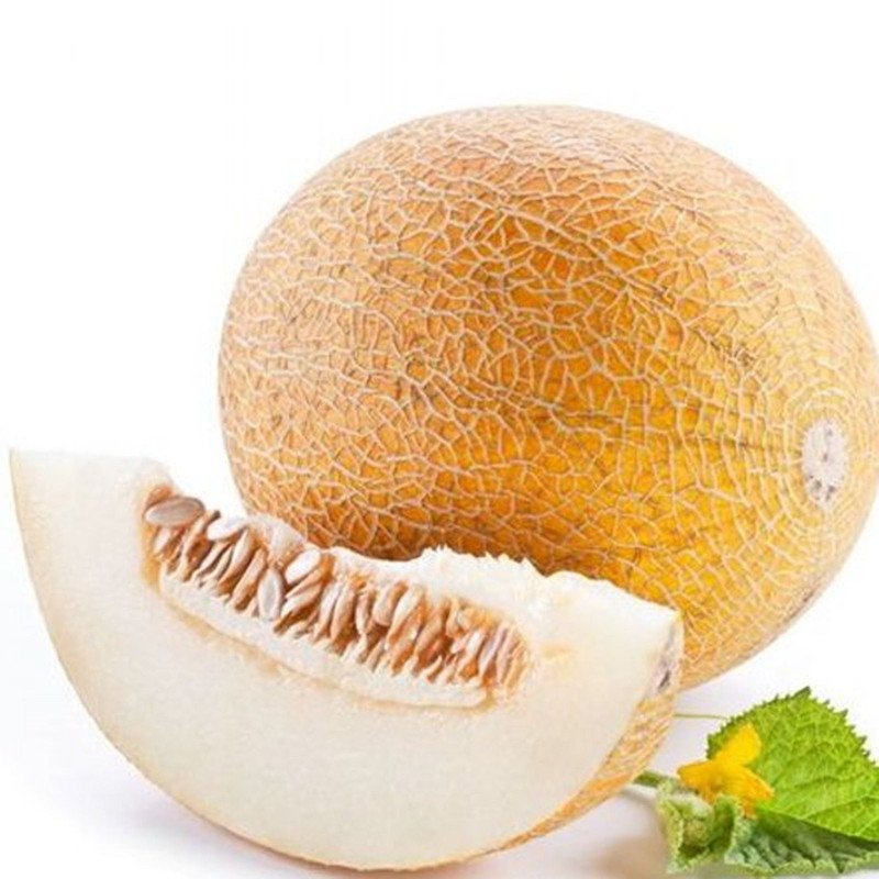 Melon Ineya