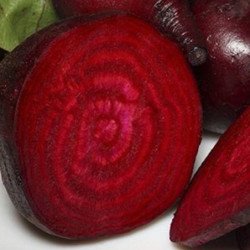 Beetroot Delicacy
