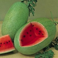 Watermelon Charlston Grey