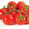 Tomato Cherri