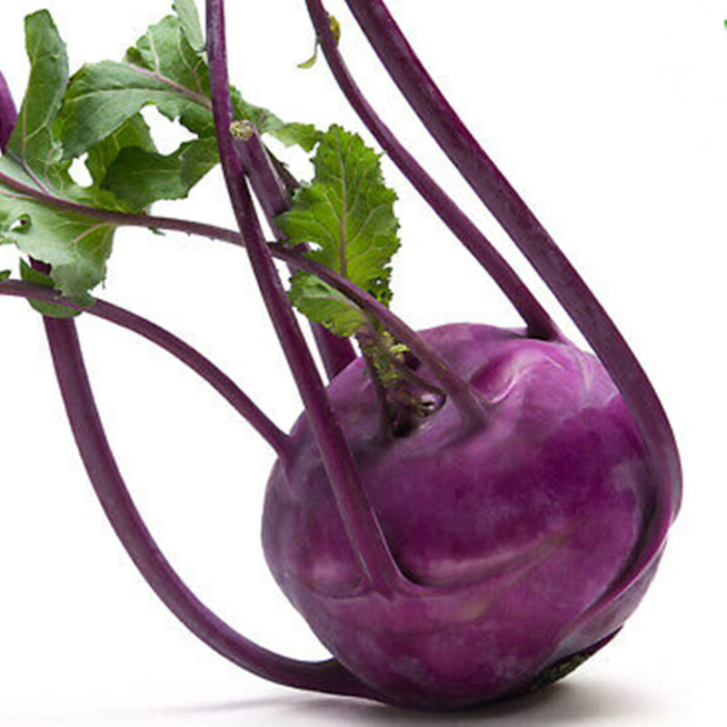 Kohlrabi Violeta