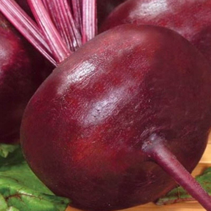 Beetroot Egyptian