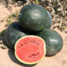 Watermelon Northern Radiance