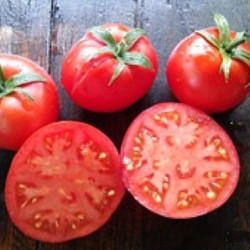 Tomato Michurinets