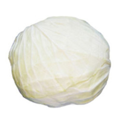 White Cabbage Bilosnizhka