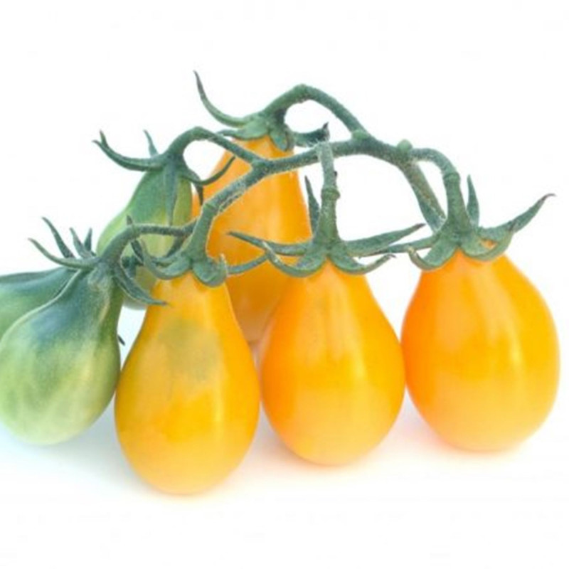 Tomato Yellow Pear