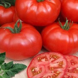 Tomato Mikado Red