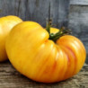 Tomato Dixi Golden Giant