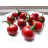 Chili Pepper Red Cherry