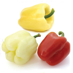 Sweet Pepper Szegedi Giant