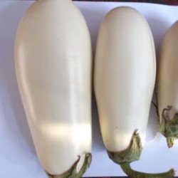 Eggplant Aubergine Aysberg