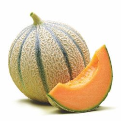 Melon Cantaloupe Sharente F1