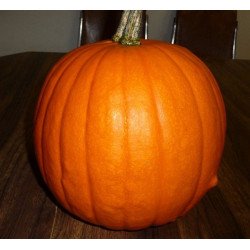 Pumpkin Jack O Lantern