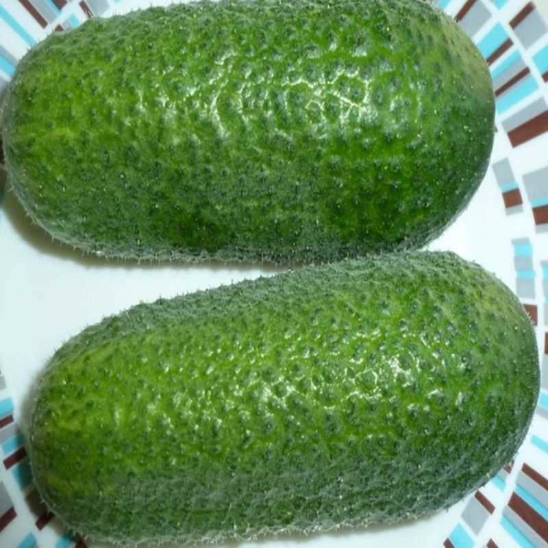 Cucumber Rhensk Druv Hg