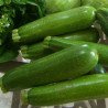 Squash Zucchini Nimba