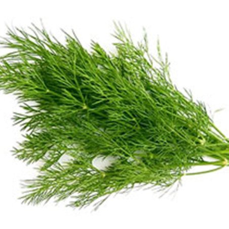 Dill Bouquet