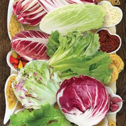 Chicory Radicchio Ciciria In Miscuglio Mix