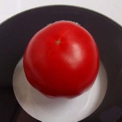 Tomato Novy Kyiv