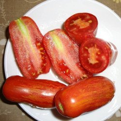 Tomato Fuoco Marzano