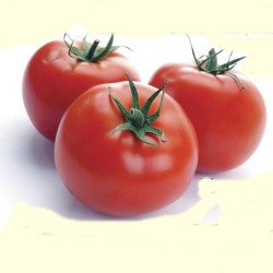 Tomato Kurban Bayram