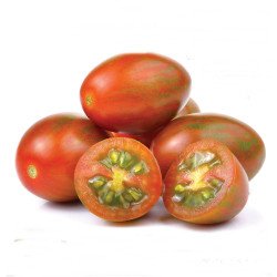 Tomato Silver Fox