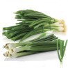 Welsh Onion White Sweet Spanish